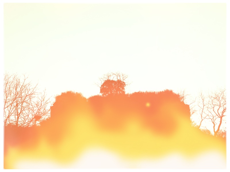 light trees.jpg