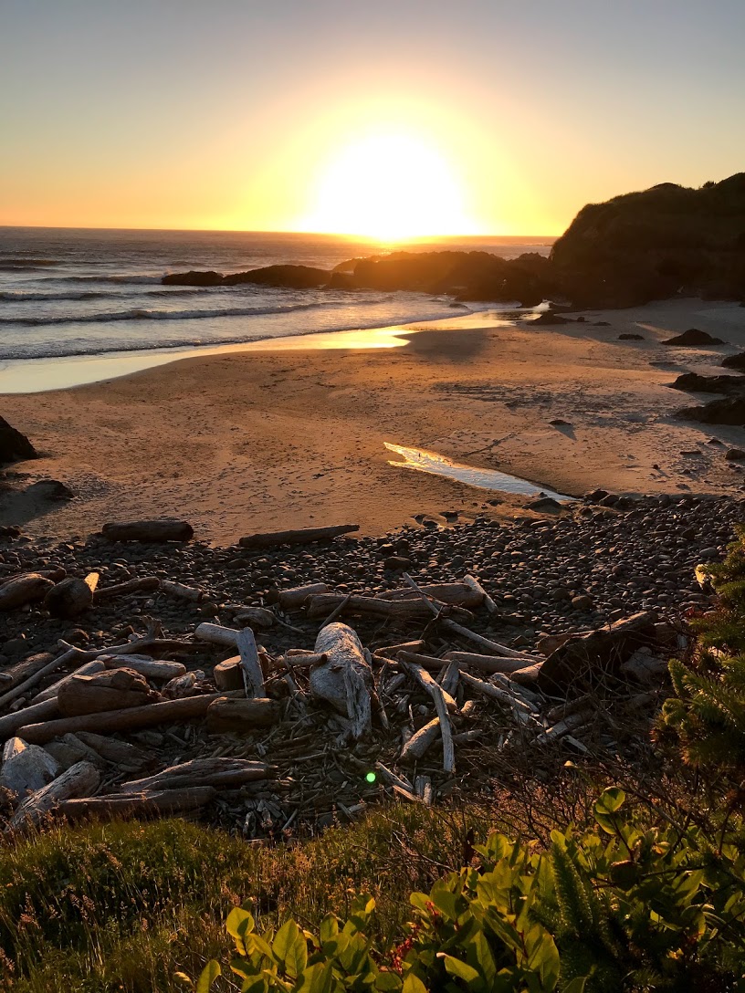 oregon beach.jpg