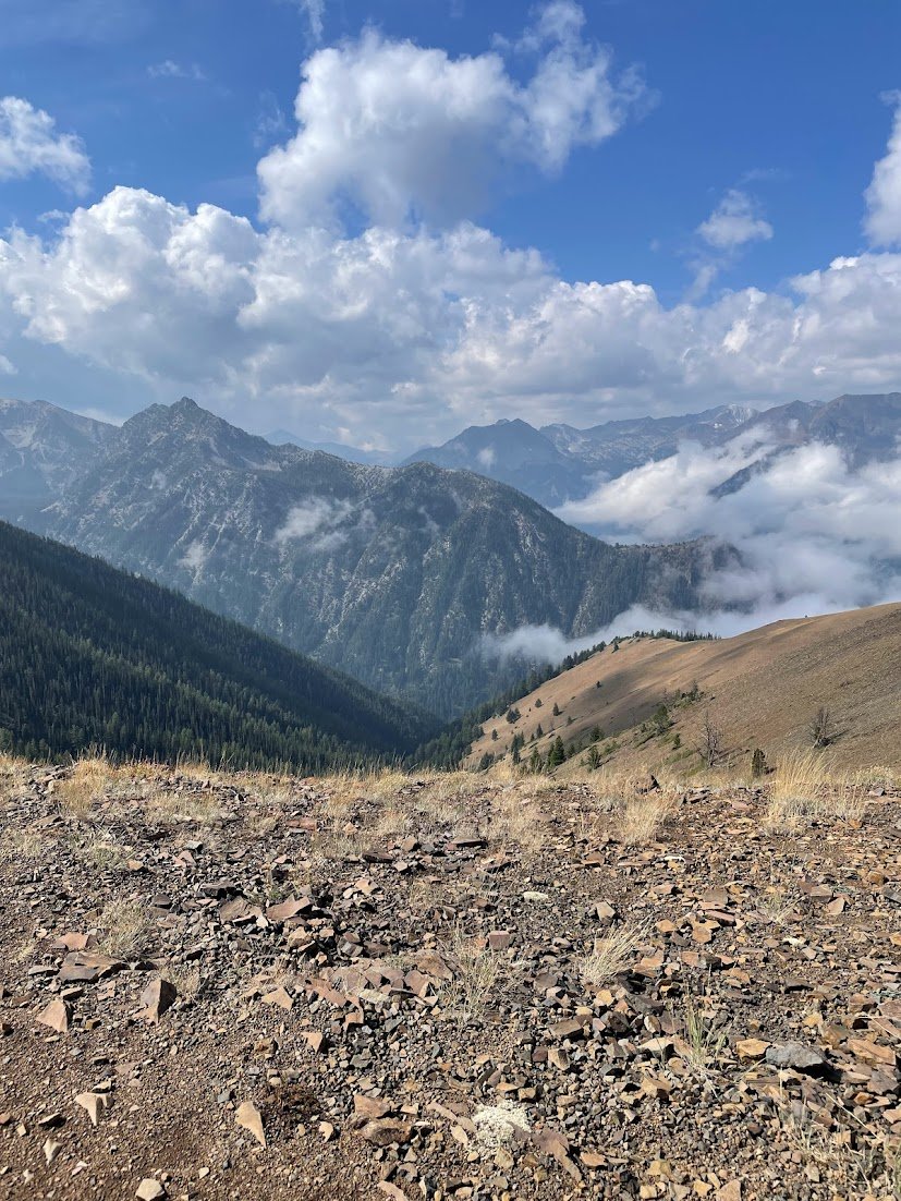 the view from mt howard