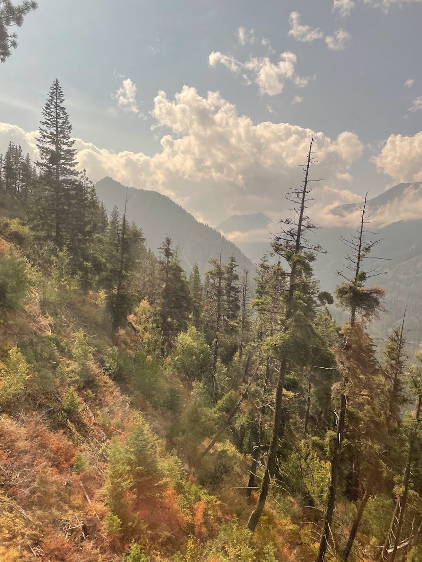 from the Wallowa Lake Tram to mt howard