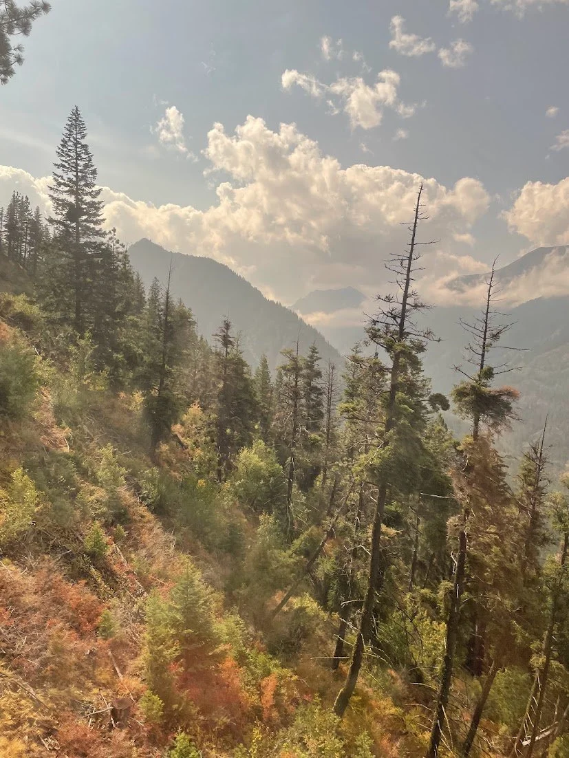 from the Wallowa Lake Tram to mt howard