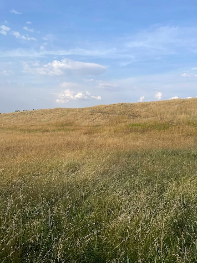soft colors of fading summer near Iwetemlaykin