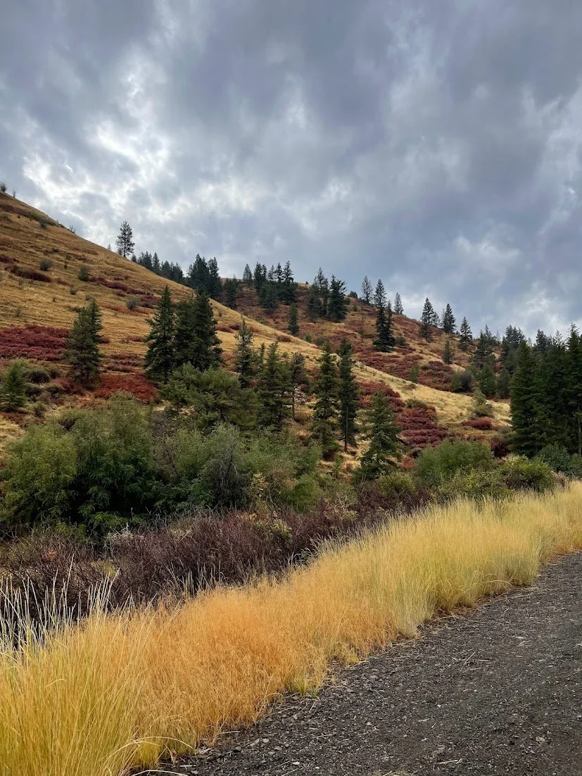 Roadside view in early fall on Hell's Canyon Scenic Byway