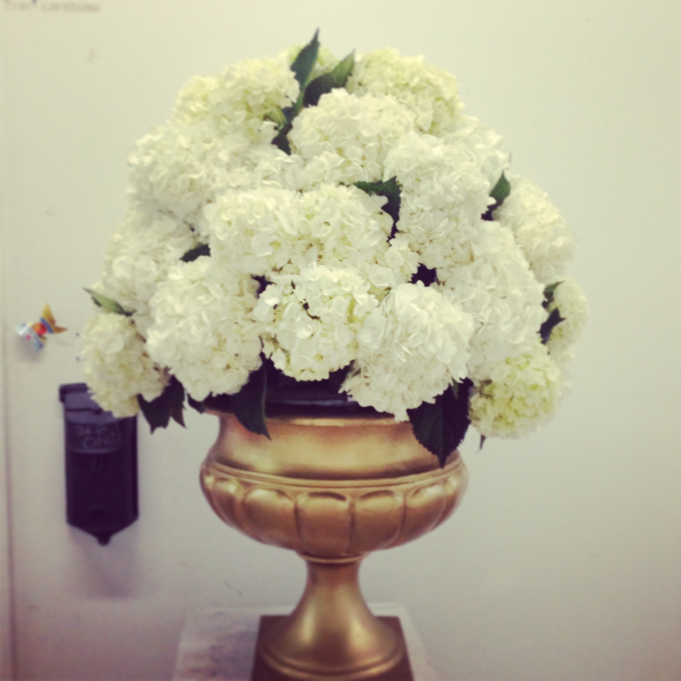 2013-06-26 19.11.07.jpg