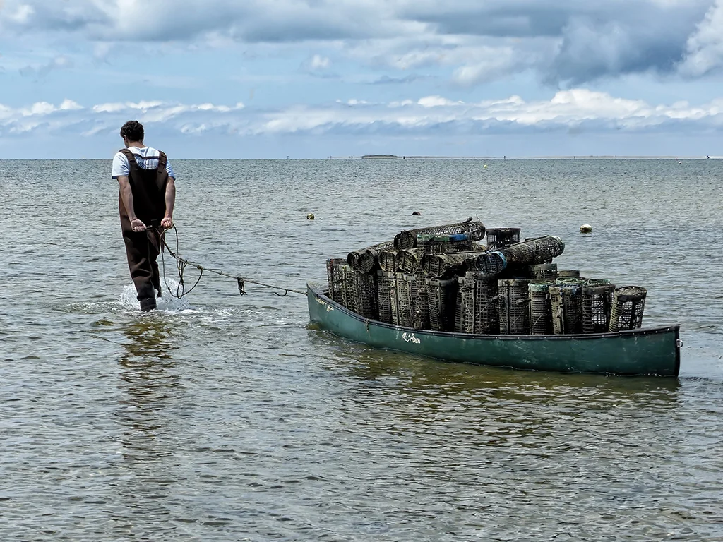 All in a Day of Oyster Farming