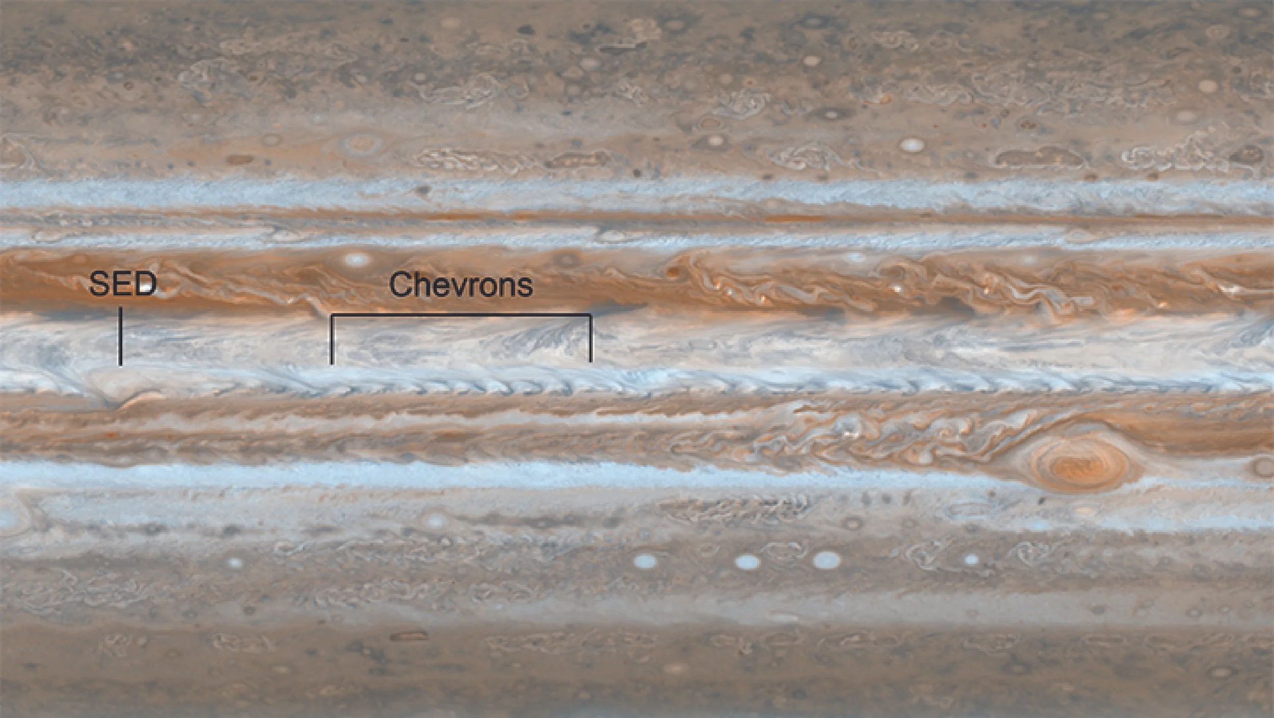 Nasa researchers depended on Jupos' amateur data to study how invisible waves in Jupiter's atmosphere create visible effects. (Credit: Nasa/JPL/SpaceScience Institute)