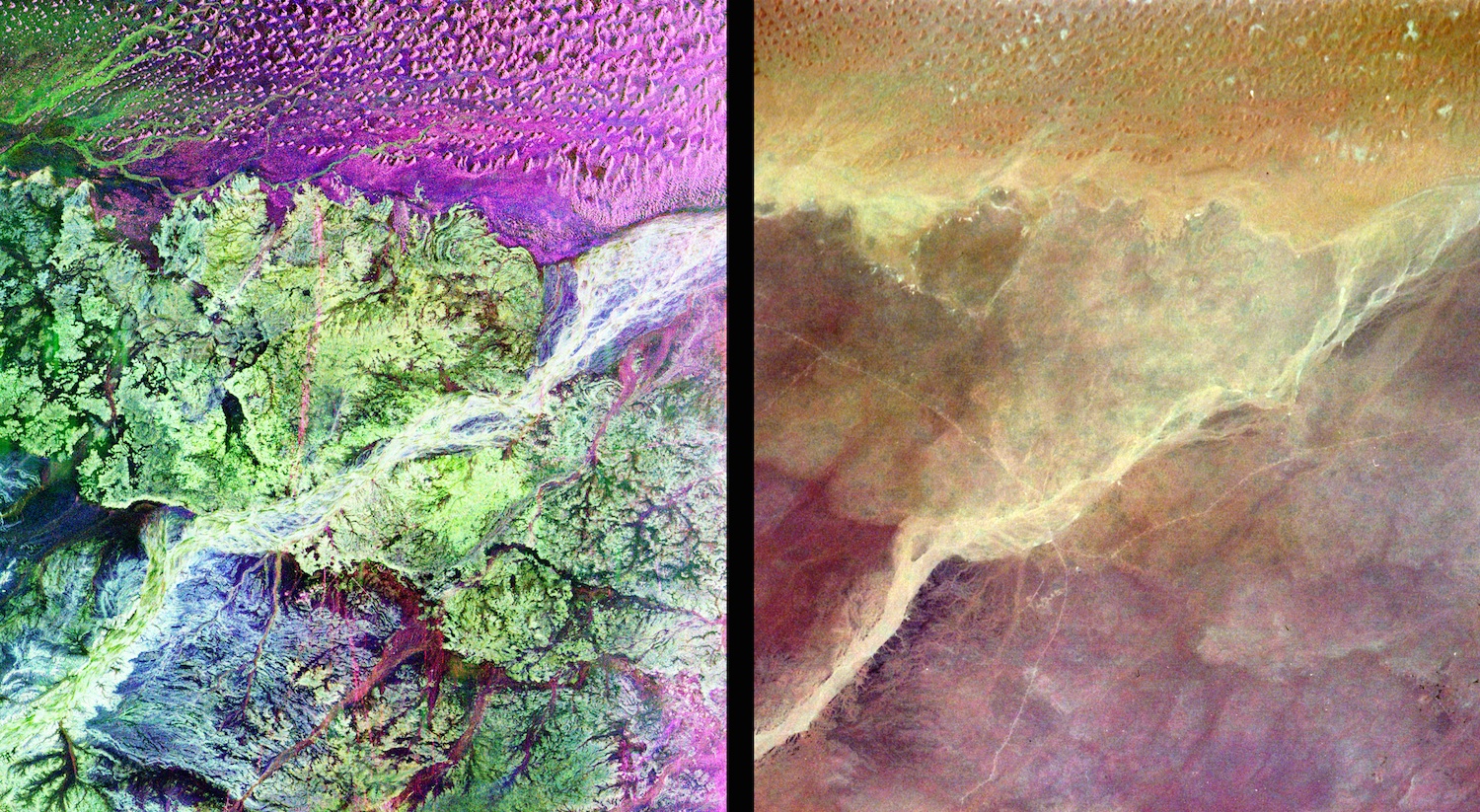 This false color space radar image shows the area surrounding the ancient city of Ubar on the Arabian peninsula. The red streaks are tracks leading to the site created by the city’s inhabitants thousands of years ago. Credit: Nasa/JPL-Caltech