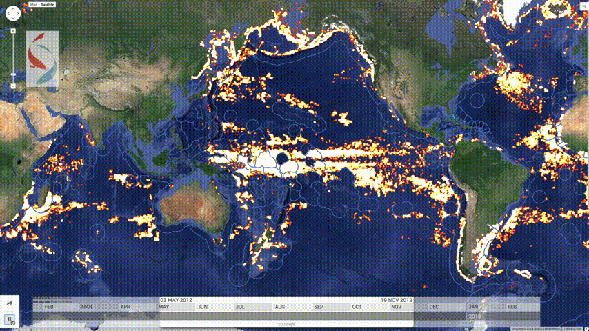 Global Fishing Watch animated 2 years worth of satellite tracking data to show patterns in commercial fishing. (click the image to make it big) Source: Global Fishing Watch
