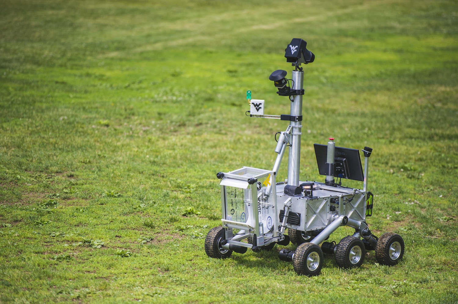 Cataglyphis in action. (really) Credit: Nick Morales/West Virginia University