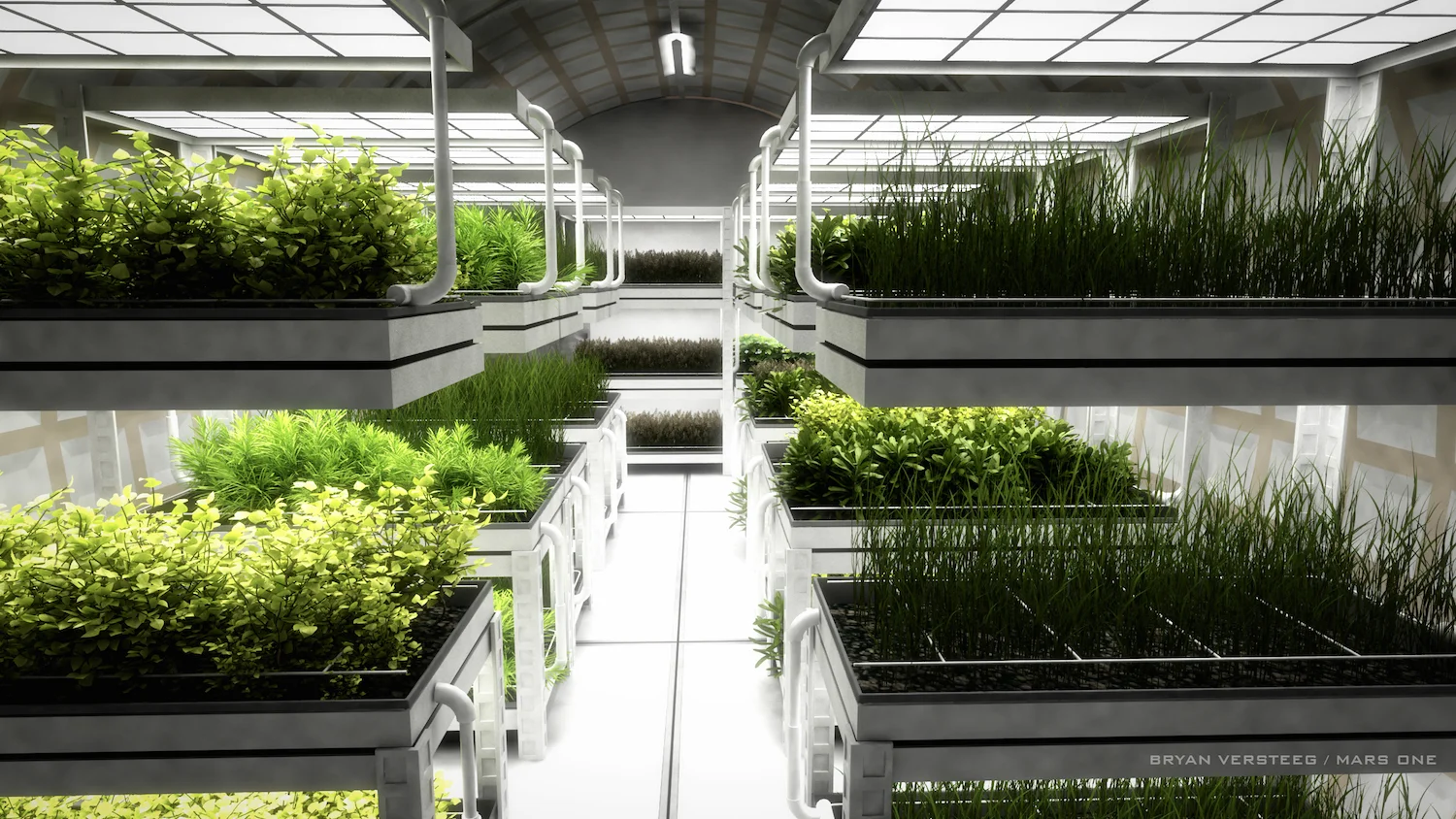 An artist's concept of a Mars habitat's farm. Credit: Bryan Versteed/Mars One