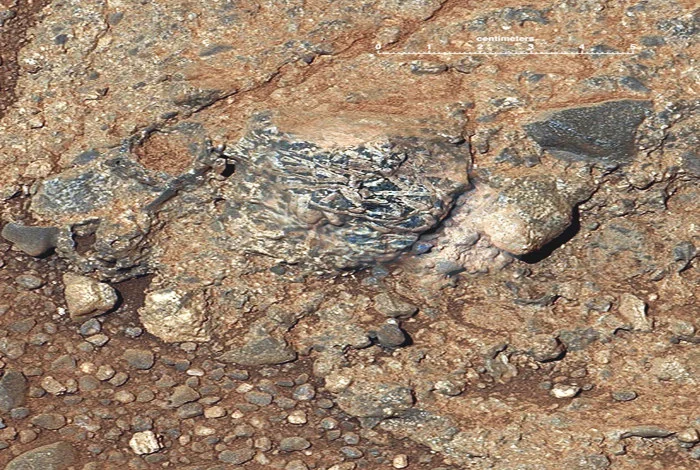 The elongated light toned rock is feldspar, a mineral typically found in Earth's granitic continental crust. The impact that created Gale Crater brought this ancient piece of Mars history to the surface. Credit: Nasa/JPL-Caltech/LANL/IRAP/U. Nantes/IAS/MSSS