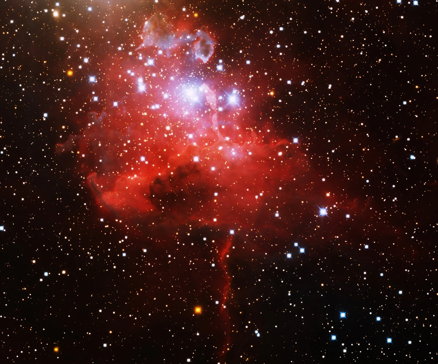 IC 417 is a cluster of newly-forming stars whose intense light energizes the surrounding gas clouds like a neon sign. American science teachers worked with professional astronomers to discover 100 stars at the earliest stage of development. Credit: T.A. Rector (University of Alaska Anchorage) and H. Schweiker (WIYN and NOAO/Aura/NSF)