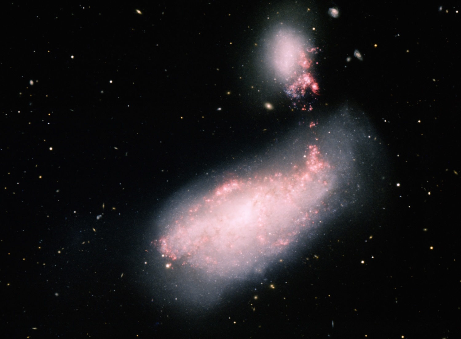 Light from what may have been the collision of two stars in the galaxy NGC 4490 reached Earth in 2011. Observations from amateur astronomers helped researchers in their investigation of the event. Credit: T.A. Rector (University of Alaska Anchorage) and H. Schweiker (Wiyn and Noao/Aura/NSF)