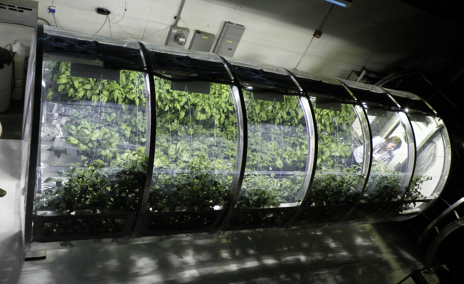 This prototype for a deployable greenhouse could provide fresh food and recycled air for astronauts on the Moon or Mars. Credit: University of Arizona