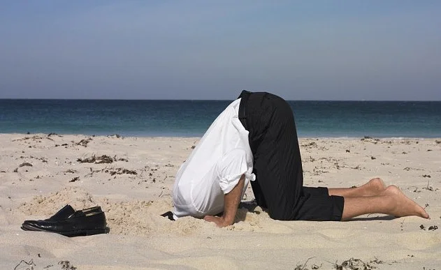 Head In The Sand.jpg