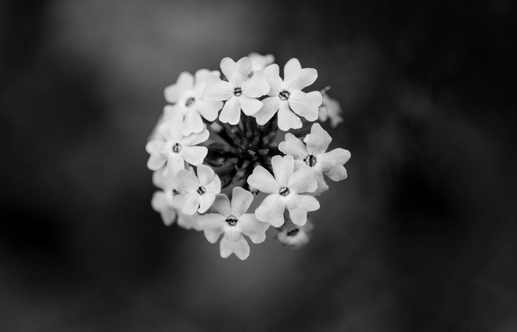 Live from the stage/my workspace