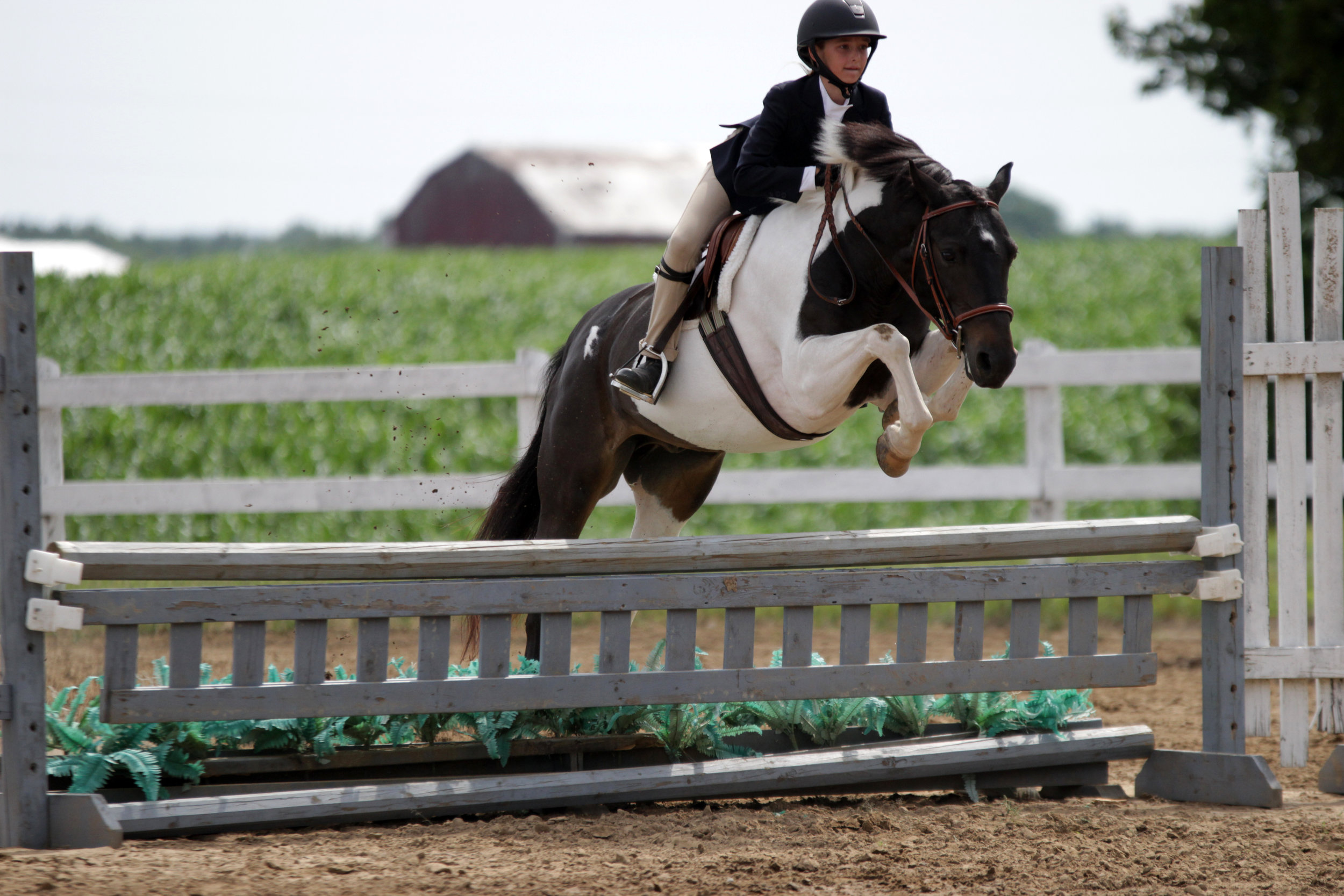  Edenview Equestrian Center Schooling Show Series 2016 