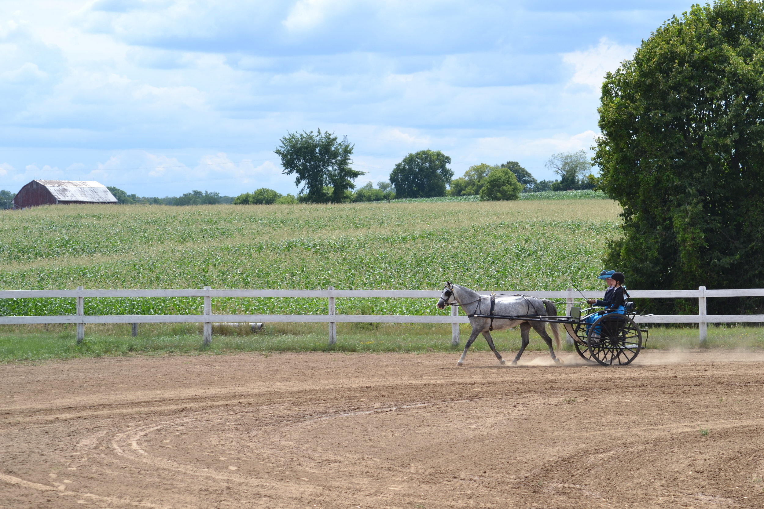 Edenview Equestrian Center Summer 2016 Canadian All Welsh Show 2016 Presented by the Welsh and Cob Associaiton on Ontario