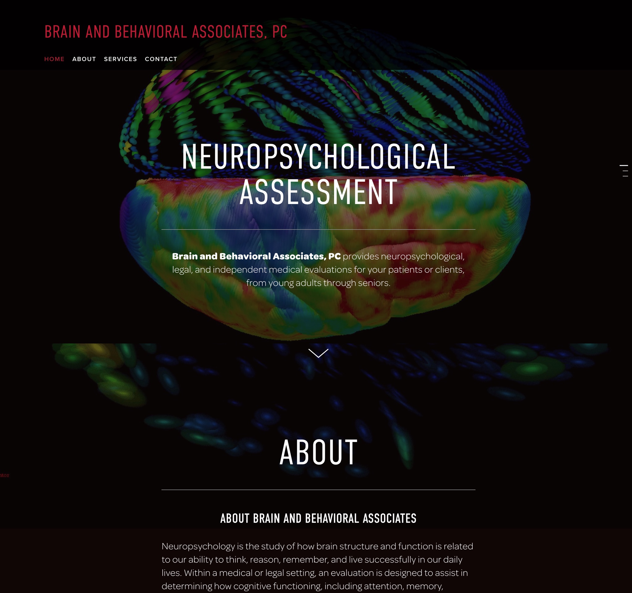 Visit the Brain and Behavioral ScienceSite