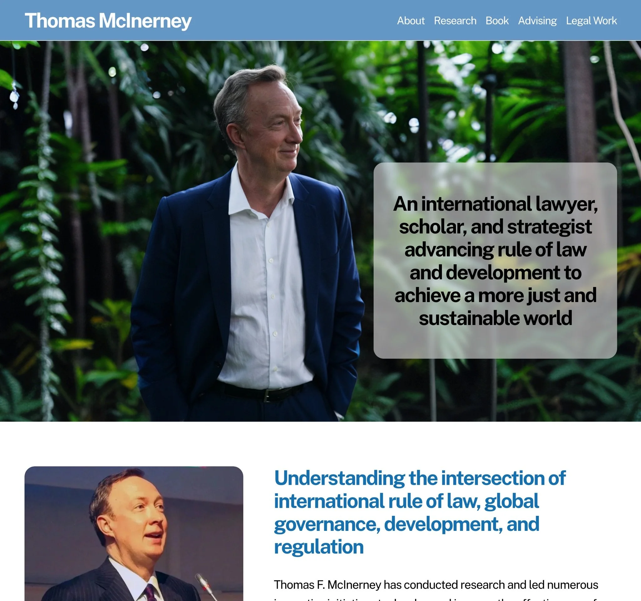 Thomas F McInerney, website homepage image
