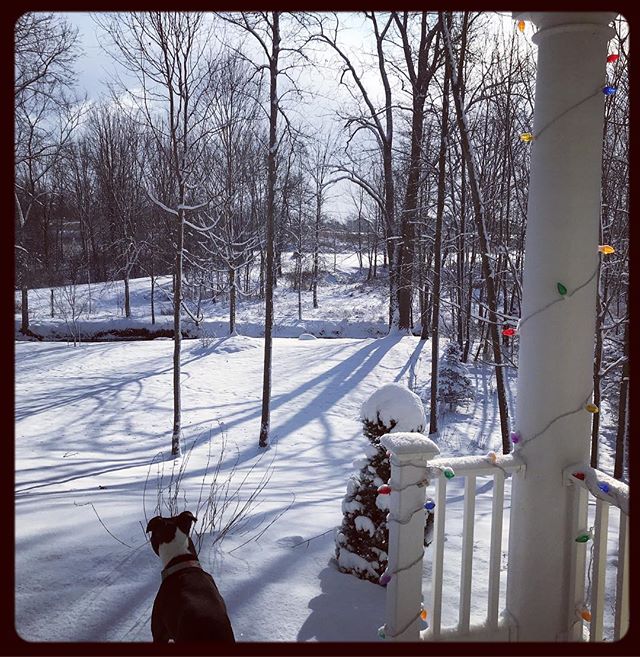 .merry Christmas everybody.
#whitechristmas