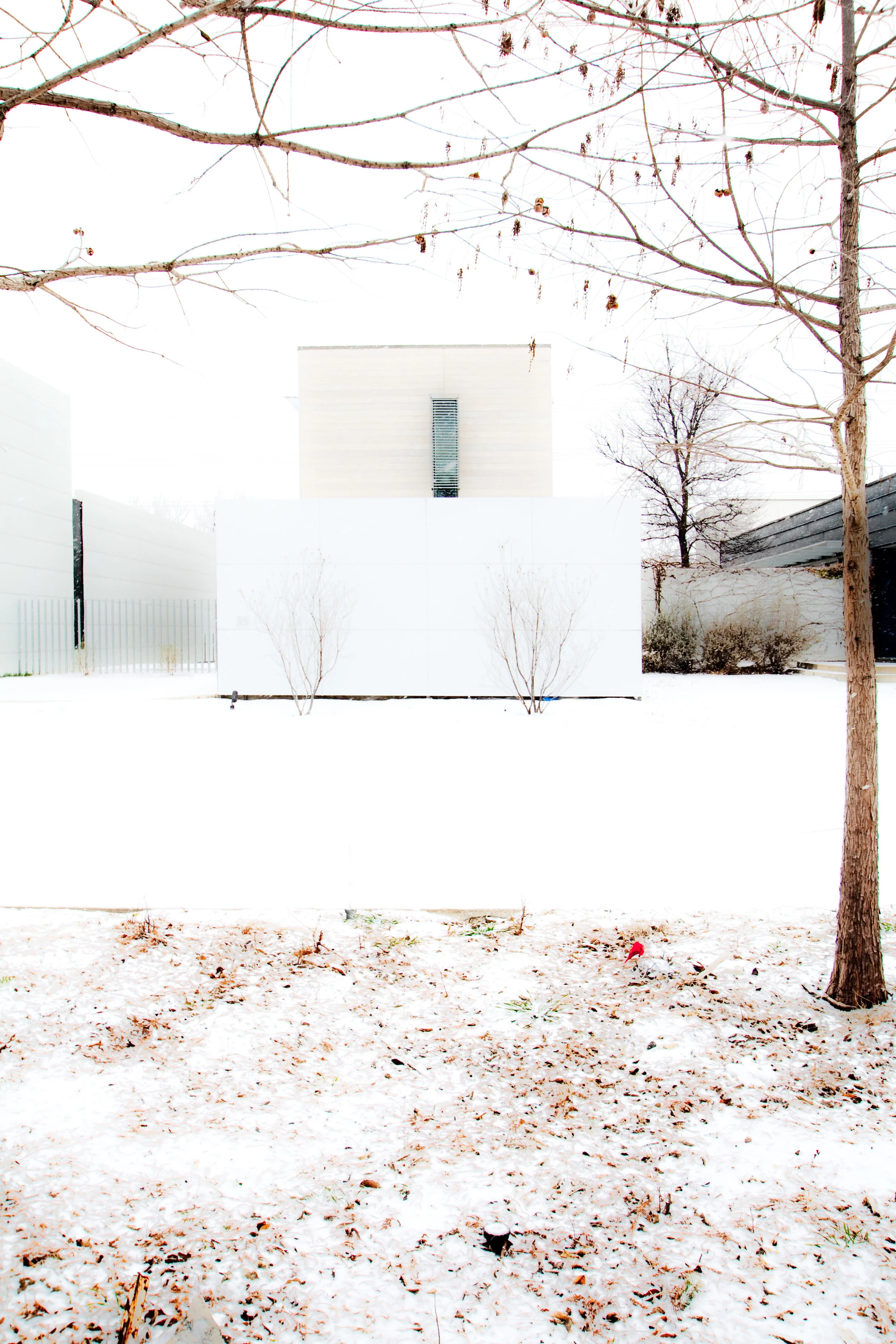 whiteonwhitegst.jpg