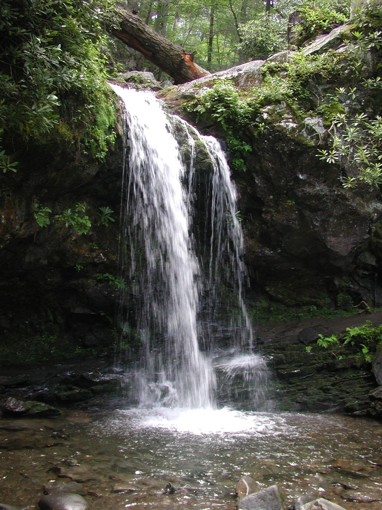 P7010002.JPG