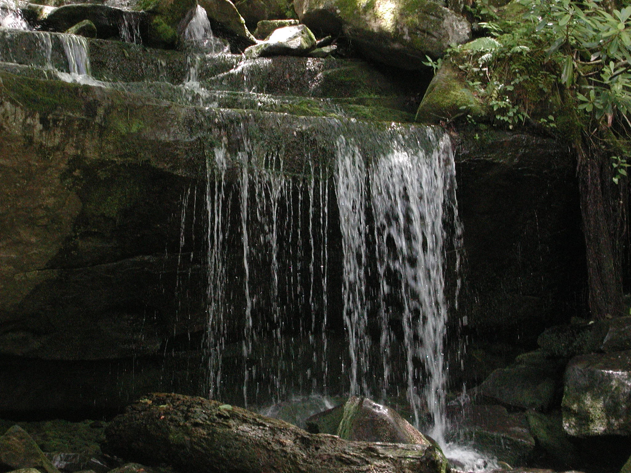 P7010028.JPG