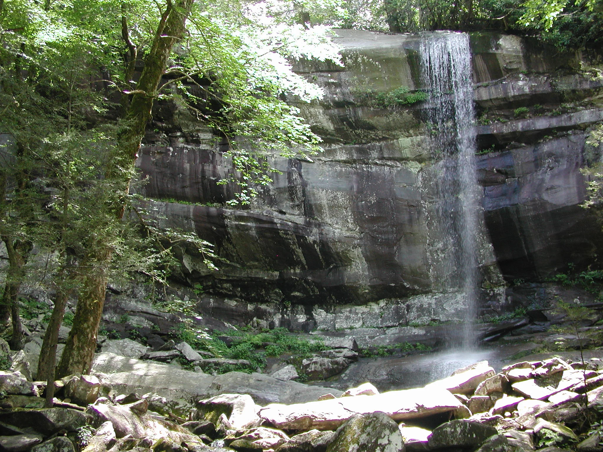 P7010042.JPG