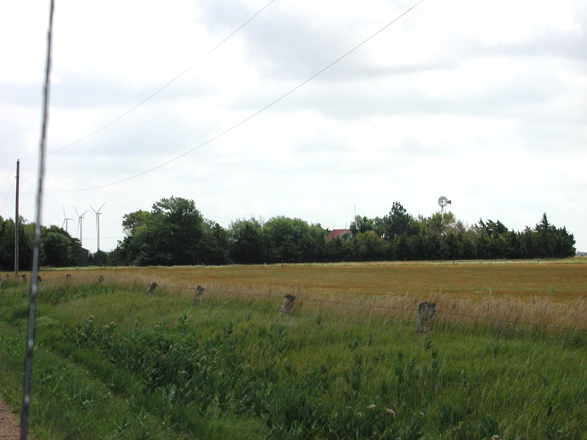 P7040008.JPG