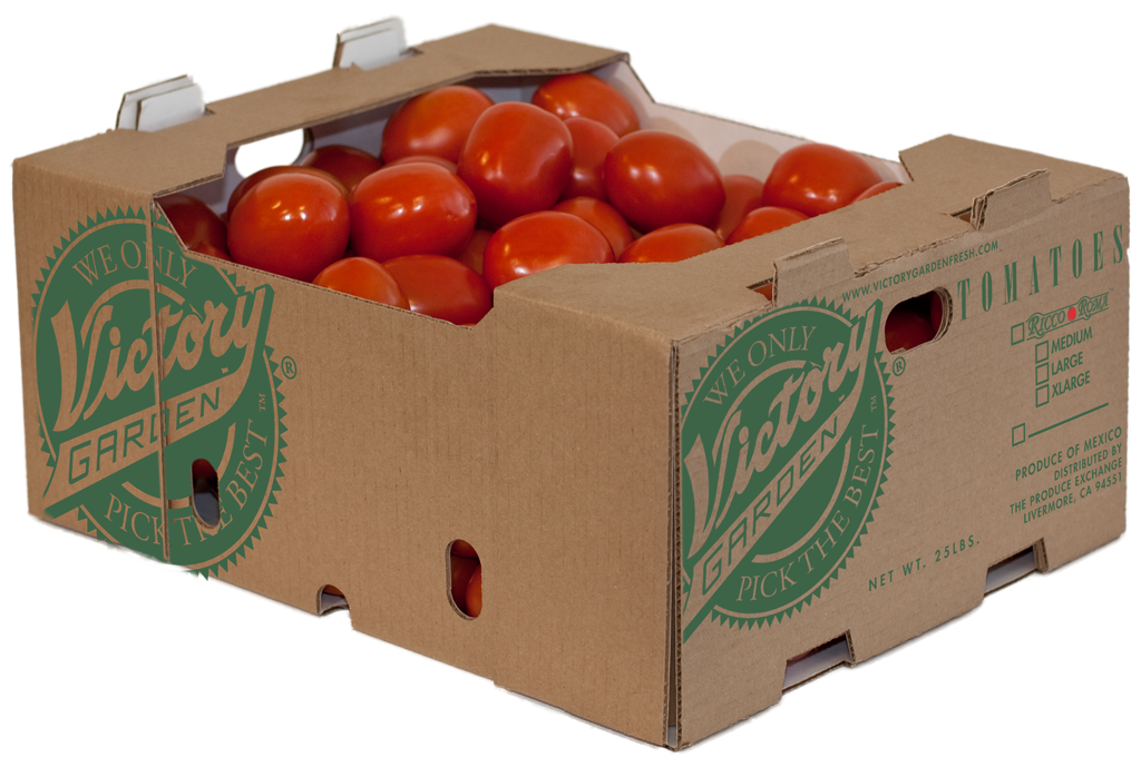 Tesoro-Roma-Carton.png