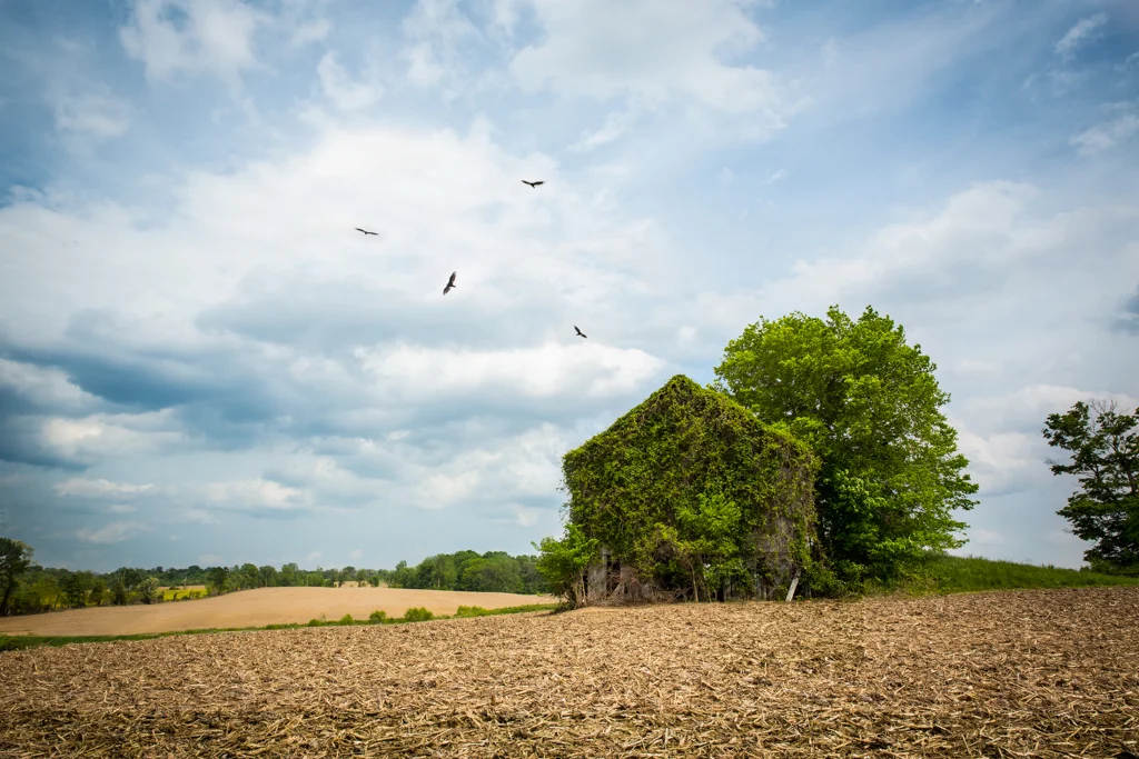 20150515-_MG_2438-Edit.jpg