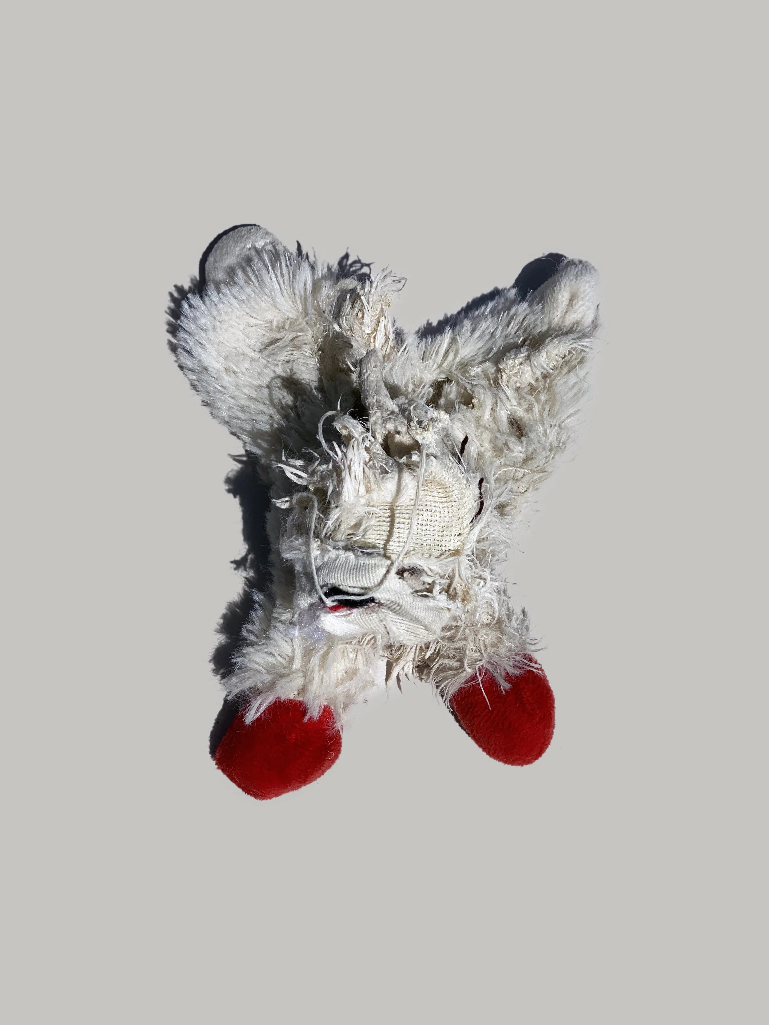 LAMB.jpg