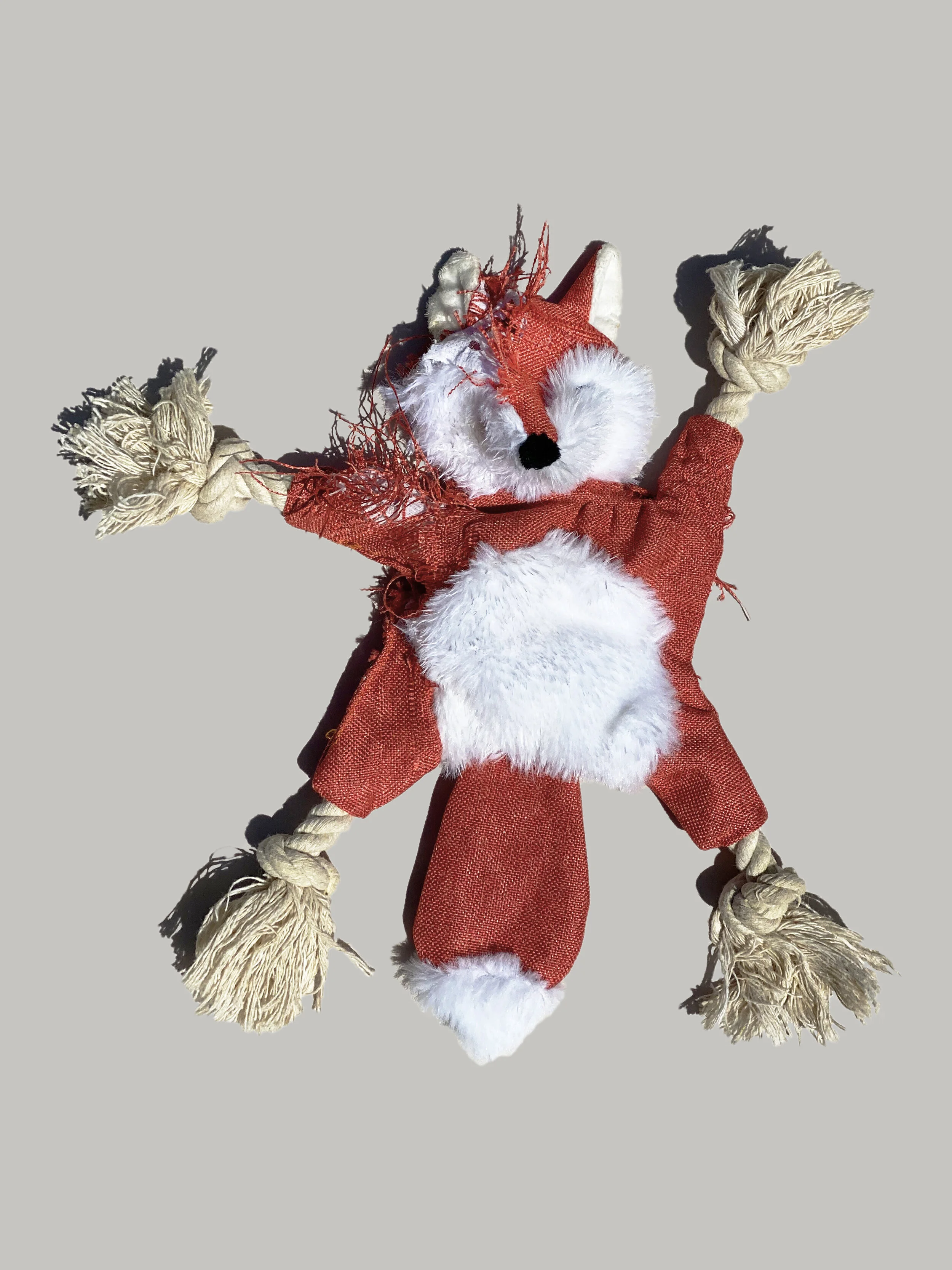 FOX.jpg