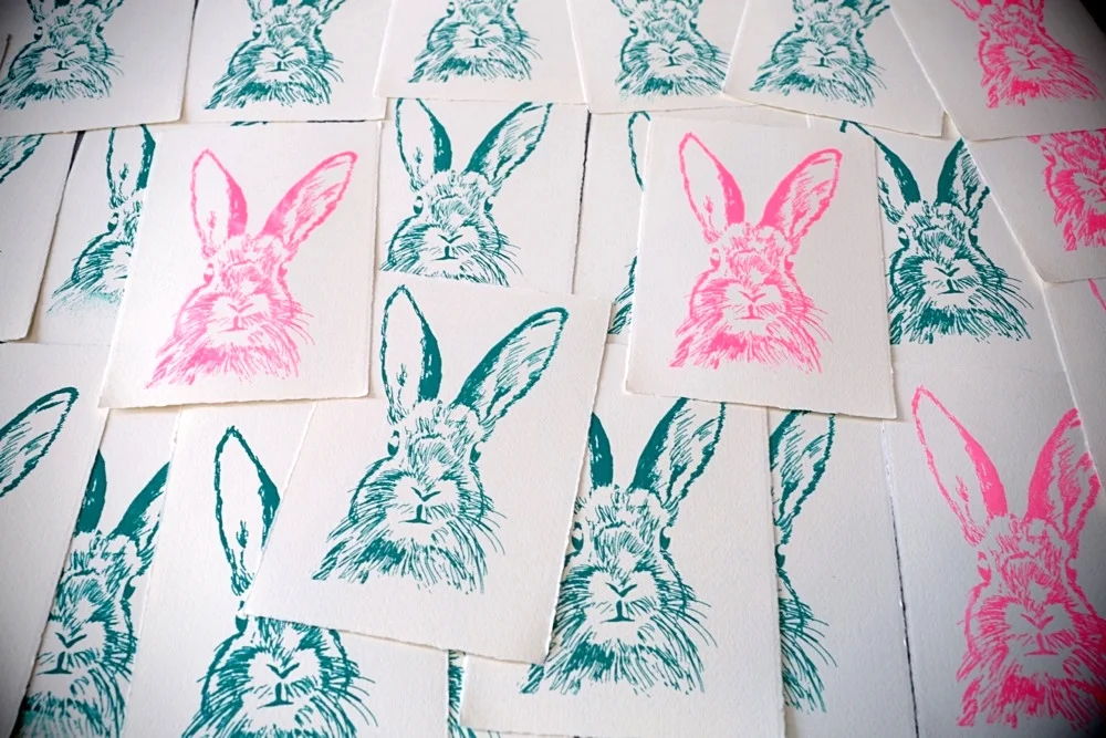 Bunnies1.jpg