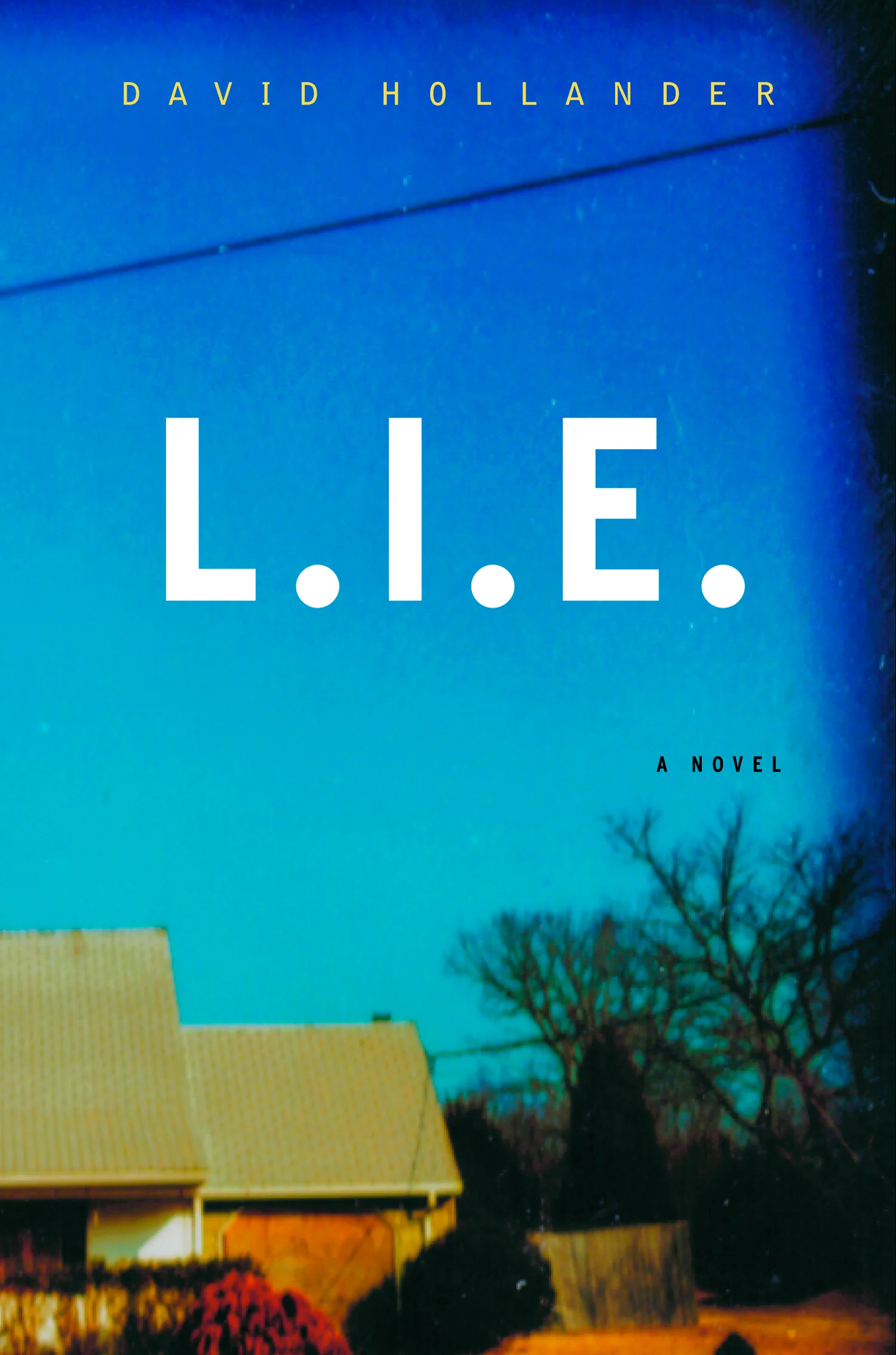 L.I.E.-ss6.jpg