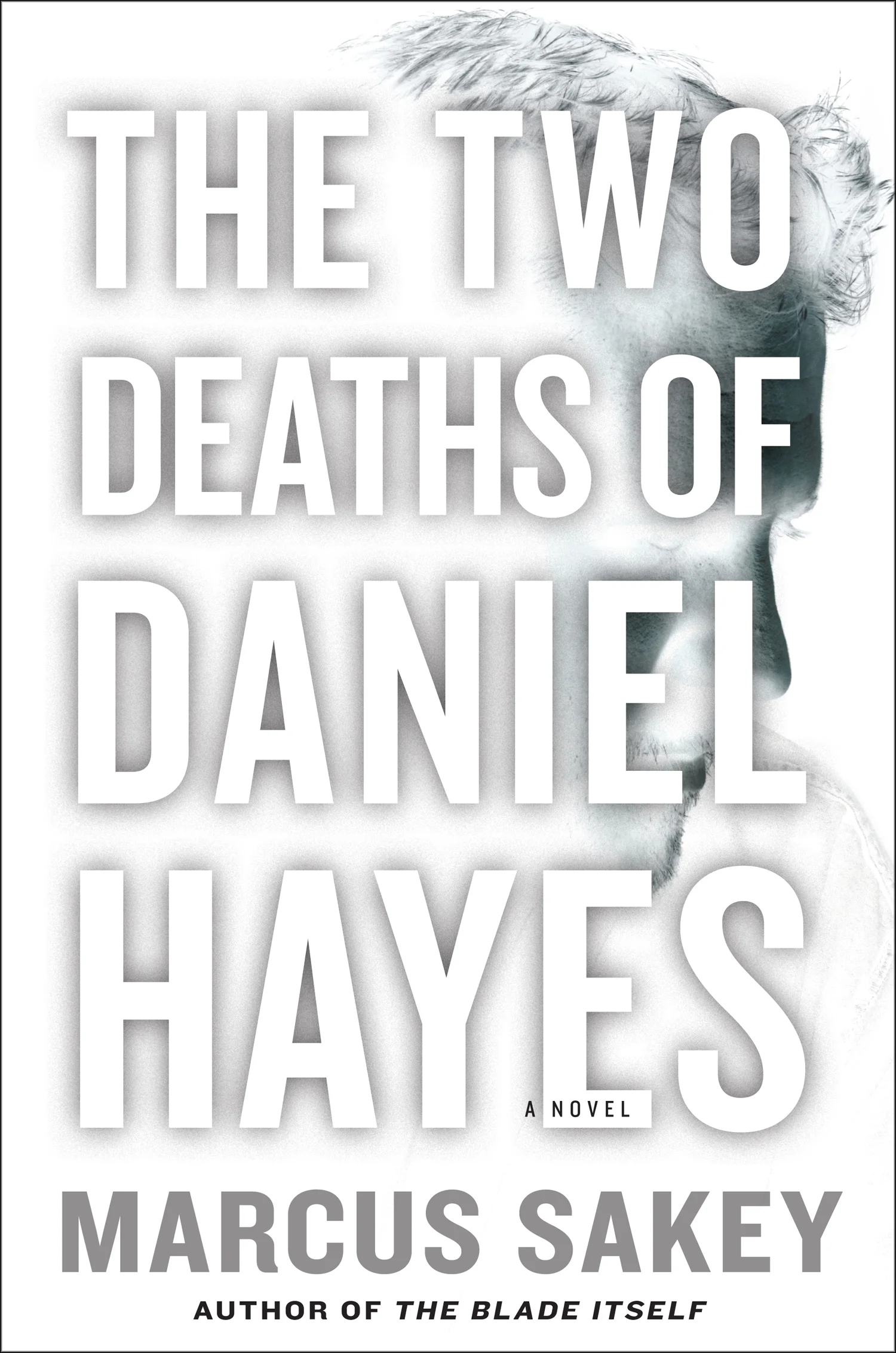 THE-TWO-DEATHS-OF-DANIEL-HAYES-hc-ss6.jpg