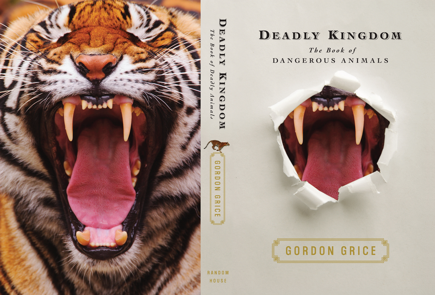 DEADLY-KINGDOM-full-hc-ss6.jpg