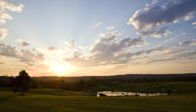 Landscape1.jpg