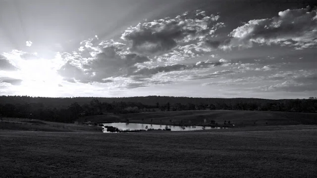 Landscape2.jpg