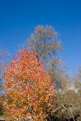IMG_014.jpg