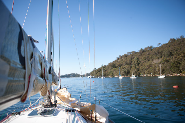 Sailing+%2528Tim+Williams%2529+009.jpg