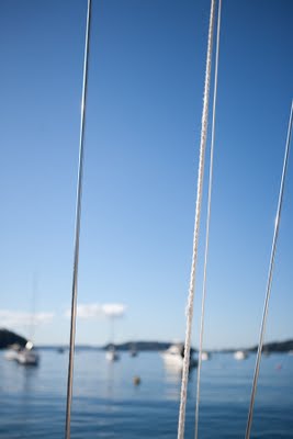 Sailing+%2528Tim+Williams%2529+007.jpg