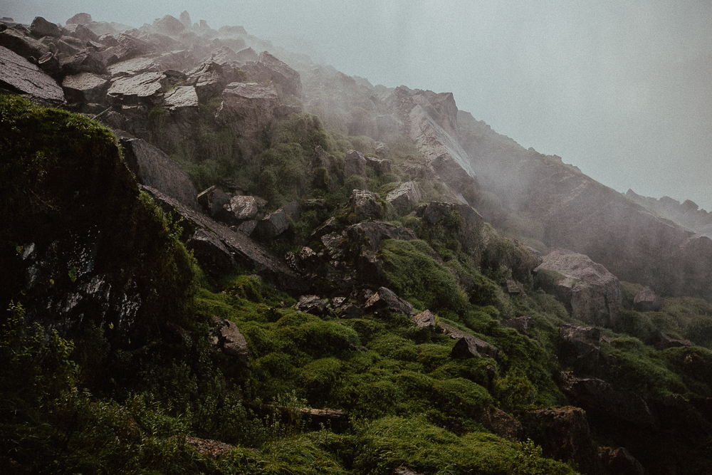 Tim Williams Photography 020.jpg