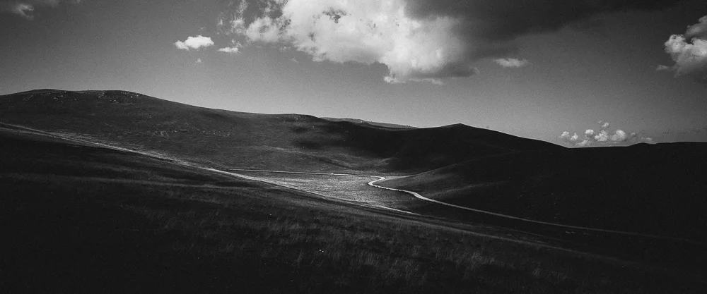 Tim Williams Photography 009.jpg