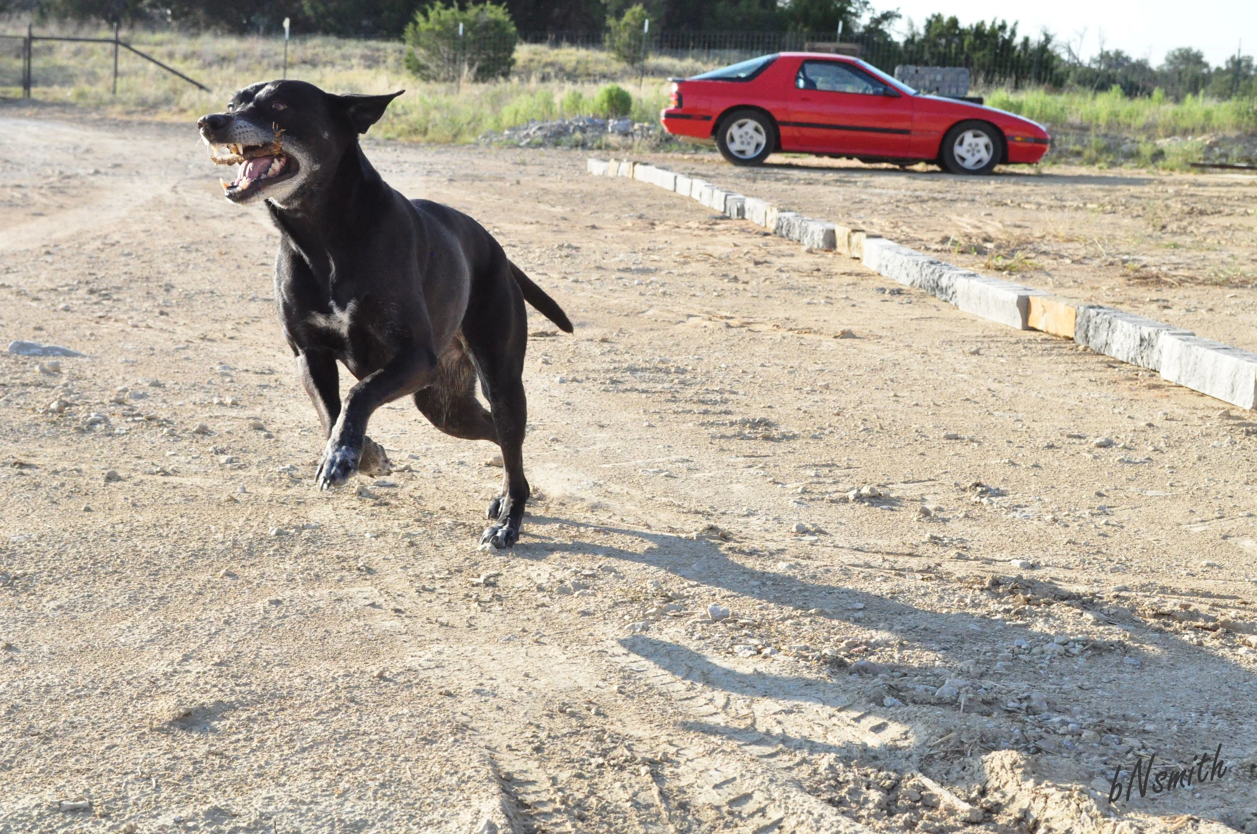 We had to do a shot of movement, testing different shutter speeds and aperture settings. Sprout really enjoyed posing for this one. 