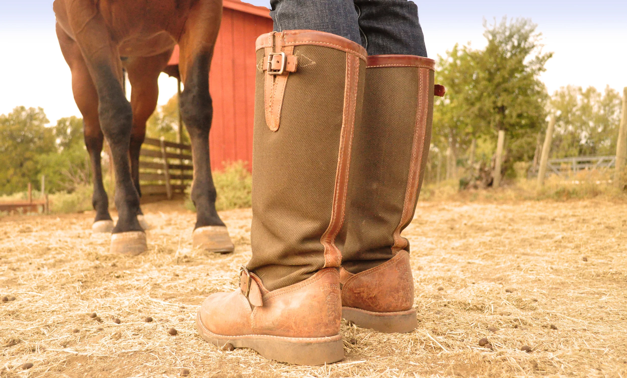 This shot was to capture sort of a stand off between human and horse. Or horse and worker. 