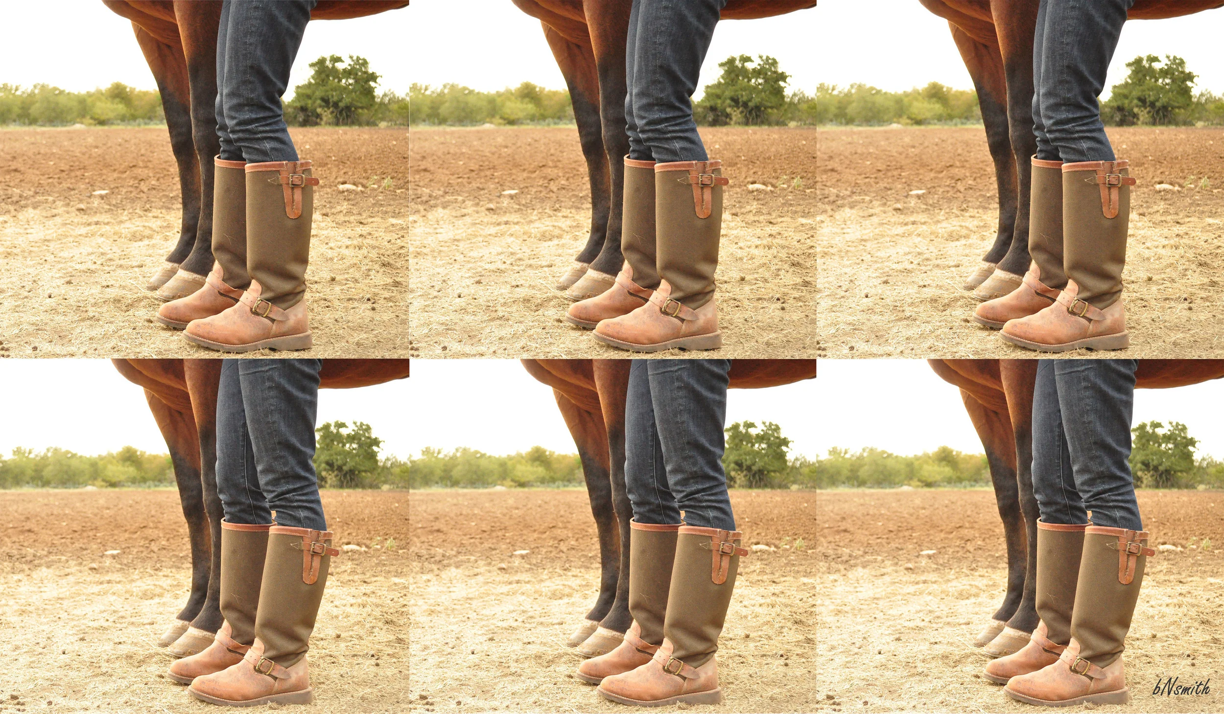 Ok, this is the shot!!!! The shot that came to my mind when attempting to figure my view point of portrait. I am beyond pleased with this shot. I am also exploring the presentation of photographs. I really like the contrast between the two photos with the movement of the knee. I love too the blending of the horse hoof with the ground, as if it is growing from the earth. 