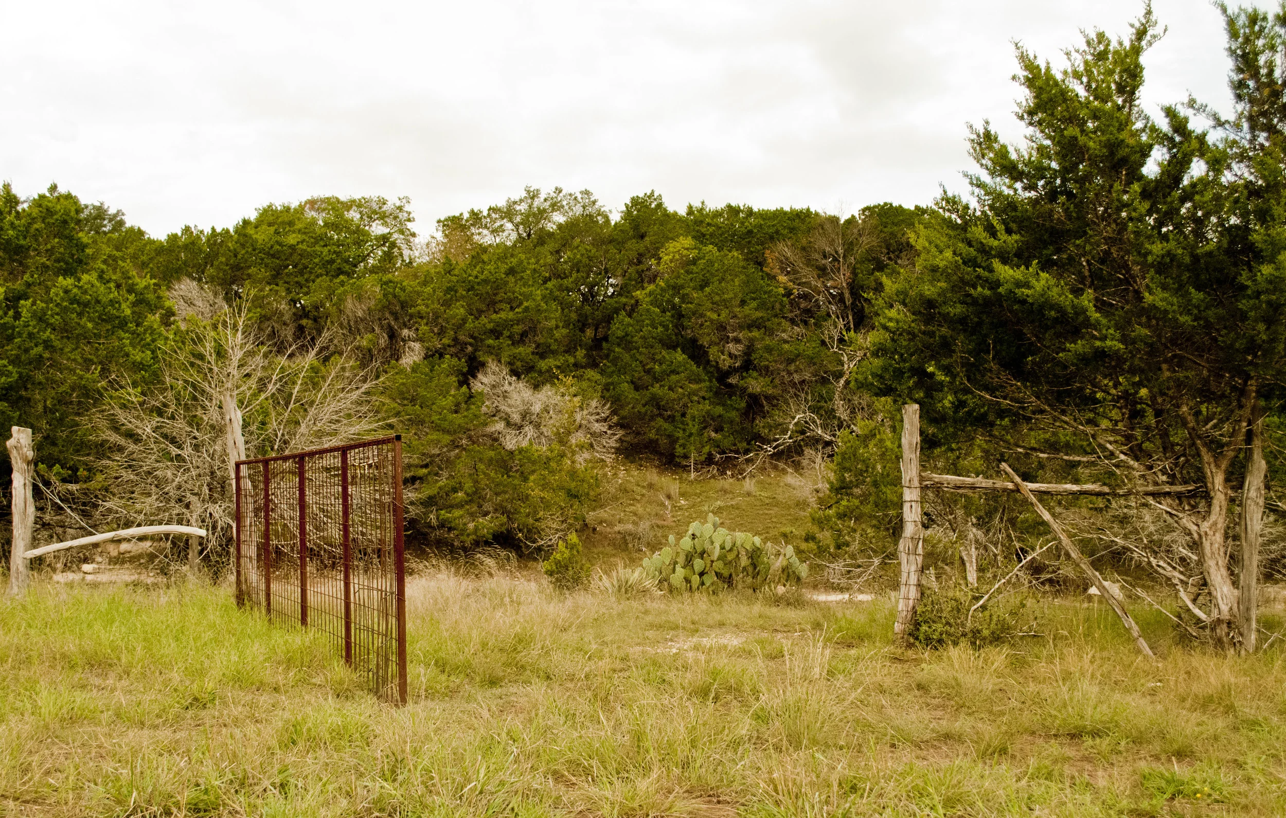 This is one of the many gates on the property. (this one leading from the coastal to the creek) They are sometimes frustrating to open but sort of interesting. Padre made most of the gates (if not all) on the property. In some situations I bet they can be a piece of art. You can't just say "I am going to put this metal together and it will be a gate' You have to ensure your dimensions are proper. What are you keeping out or in? Will this do the job? A gate is never 'just a gate.'