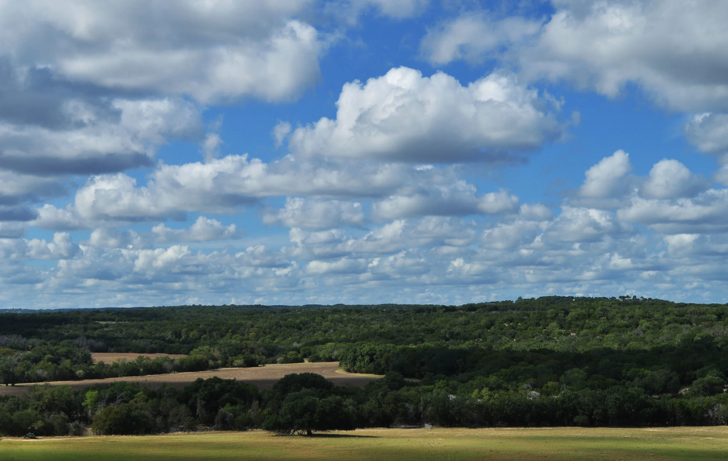 And their she is......I am so grateful to be taking root on the ranch. My love for this place and its inhabitants is immense. I feel that my peace is near by. 